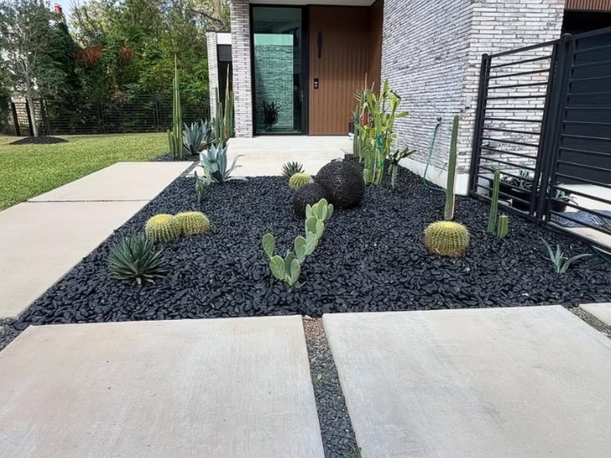 Modern desert-inspired landscape with black stone and cacti in Houston